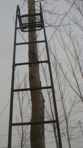 One-man tree stand/ladder stand